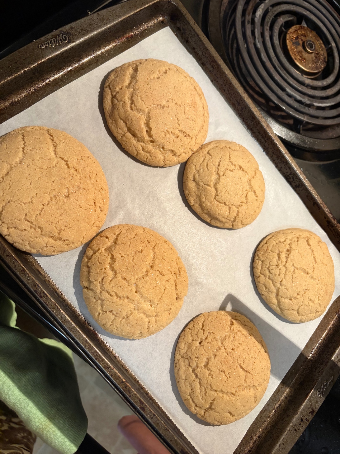 Golden sugar cookies fresh from the oven